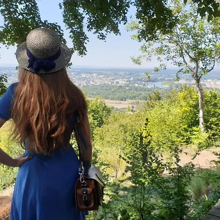 Lodge-bélvédere Sur Les Hauteurs De * Vichy